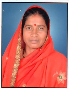सदस्य